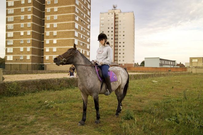 horse